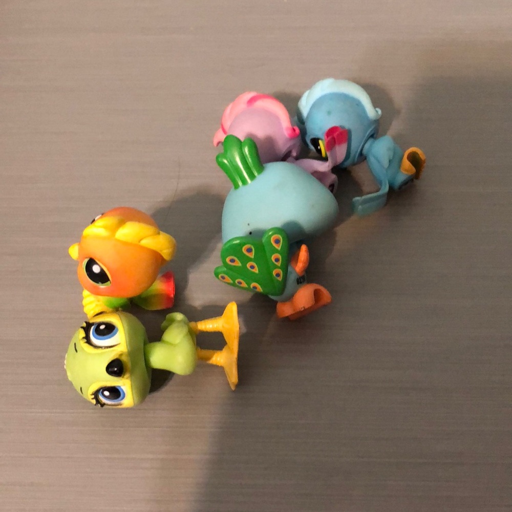 Lps bird lot